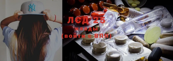 spice Вяземский