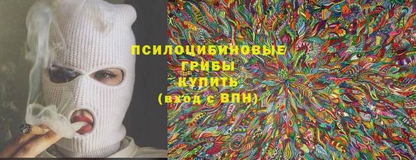 spice Вяземский